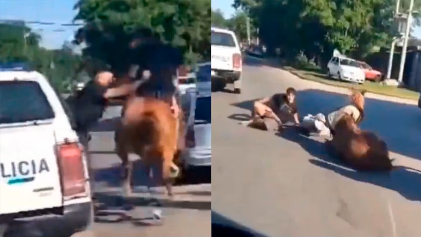 los-ladrones-escapaban-en-un-caballo-y-fueron-atrapados-en-quilmes-UU2Q4VUPEZHLXJGMSG43WRU5PQ