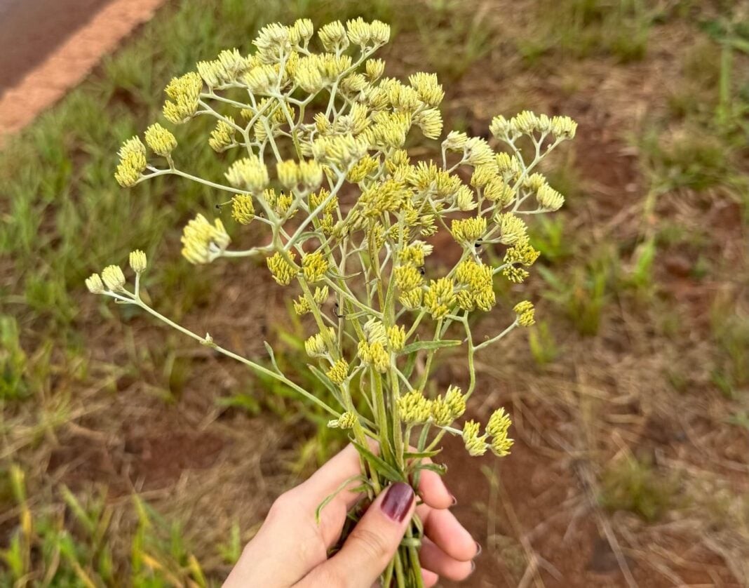 marcela-Semana-Santa-3-scaled-e1774979453609-1068x838.jpeg marcela-Semana-Santa-3-scaled-e1774979453609-1068x838.jpeg