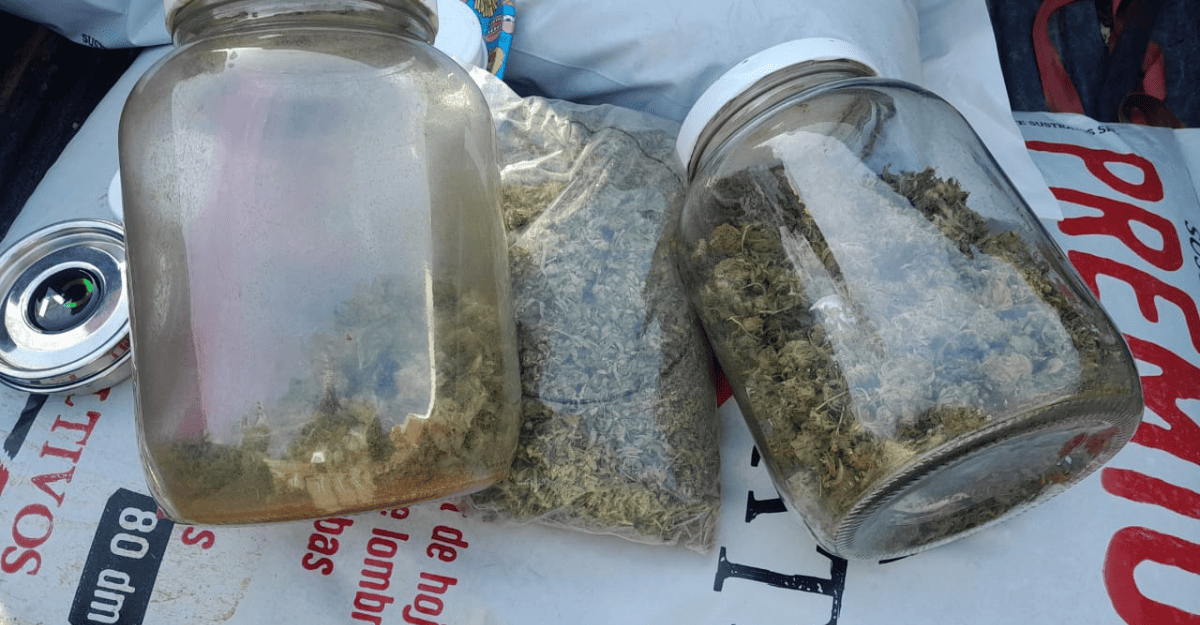 Rivadavia: interceptan camioneta con marihuana durante control policial. Hay dos detenidos.