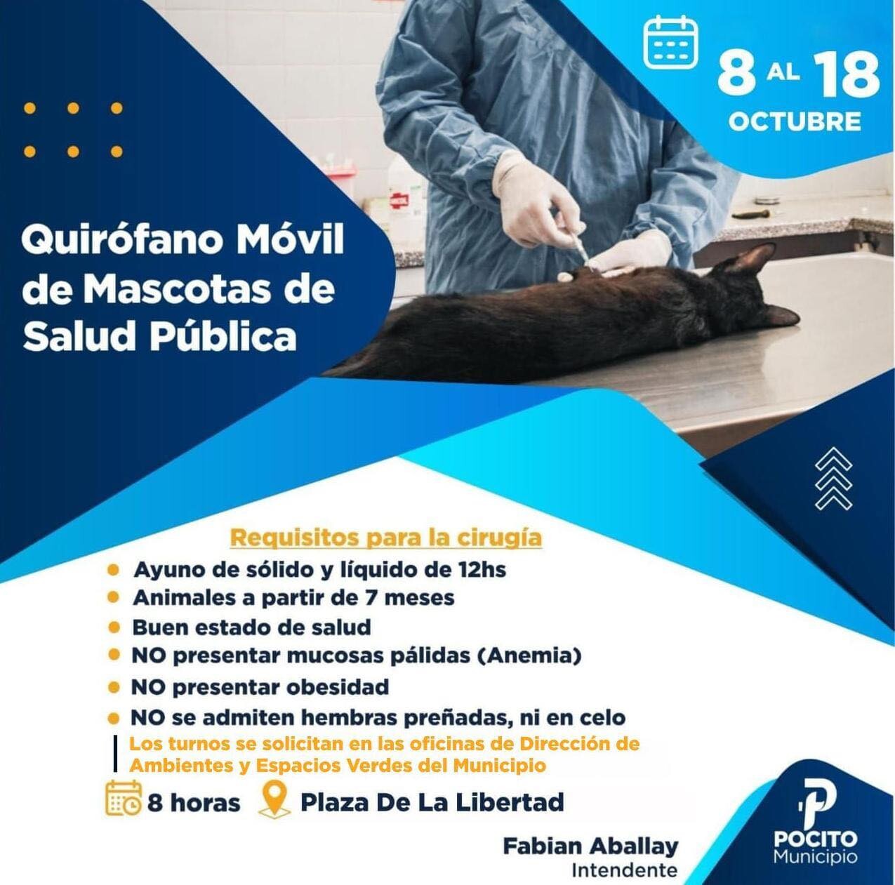 Realizan esterilizaciones a las mascotas en la Plaza De La Libertad en Pocito durante 10 dias.