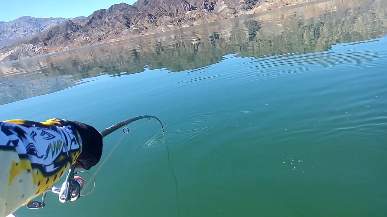 El departamento de Iglesia se prepara para vivir la gran aventura de pesca en Dique Cuesta del Viento