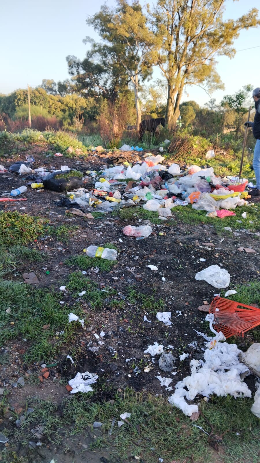Se retomó la limpieza de minibasurales luego de la lluvia