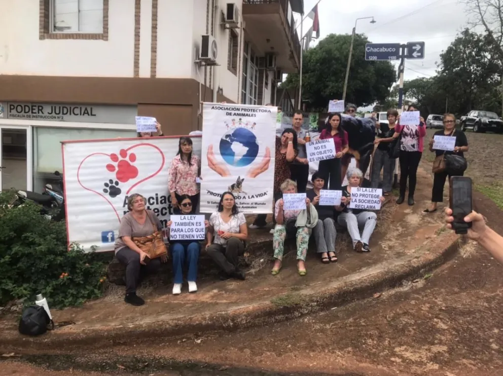 En misiones se manifestaron por la desaparición de perros: «No le creemos al intendente»