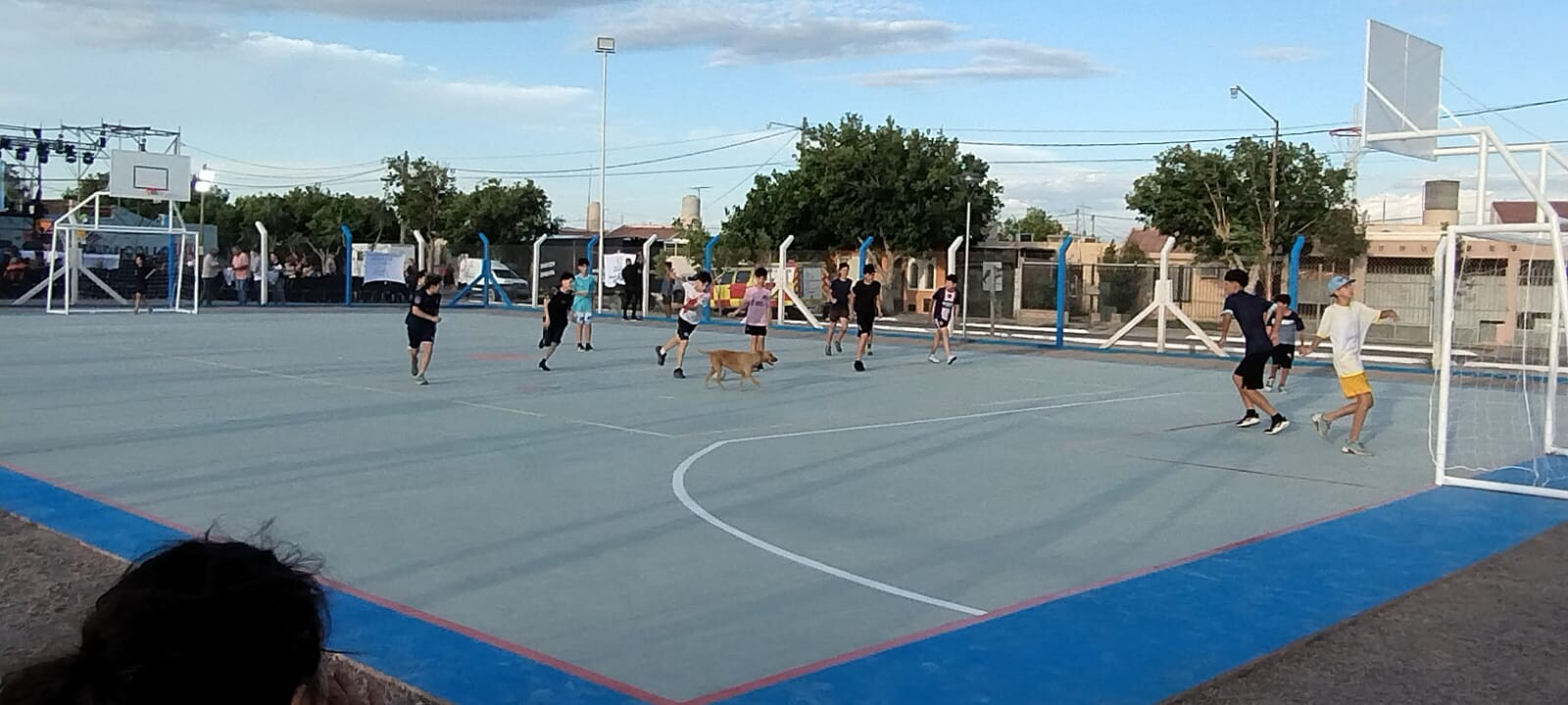 multideportivo-andacollo-2.jpeg