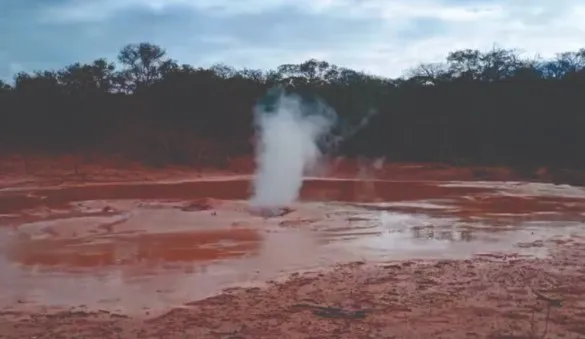 Denuncian contaminación y mortandad de fauna por un pozo petrolero mal cerrado en Pichanal General