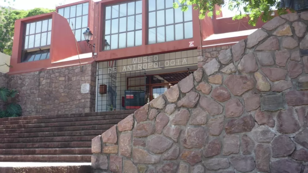 museo-de-antropologia-celebra-sus-50-anios-con-la-muestra-en-el-monte.webp El Museo de Antropología celebra sus 50 años con la muestra “En el Monte”
