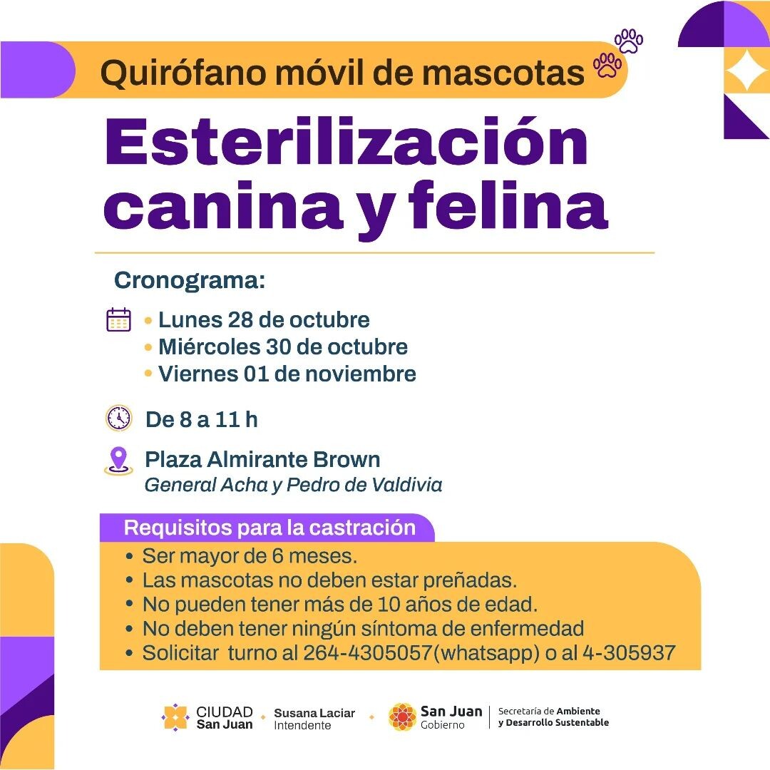 nuevas quirofano cap tres742674_18337748659177817_6073946139597633799_n.jpg