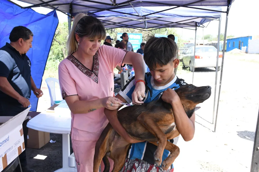 operativo-bienestar-animal-6-1024x682.webp Inició el operativo de bienestar animal en inmediaciones del Relleno Sanitario