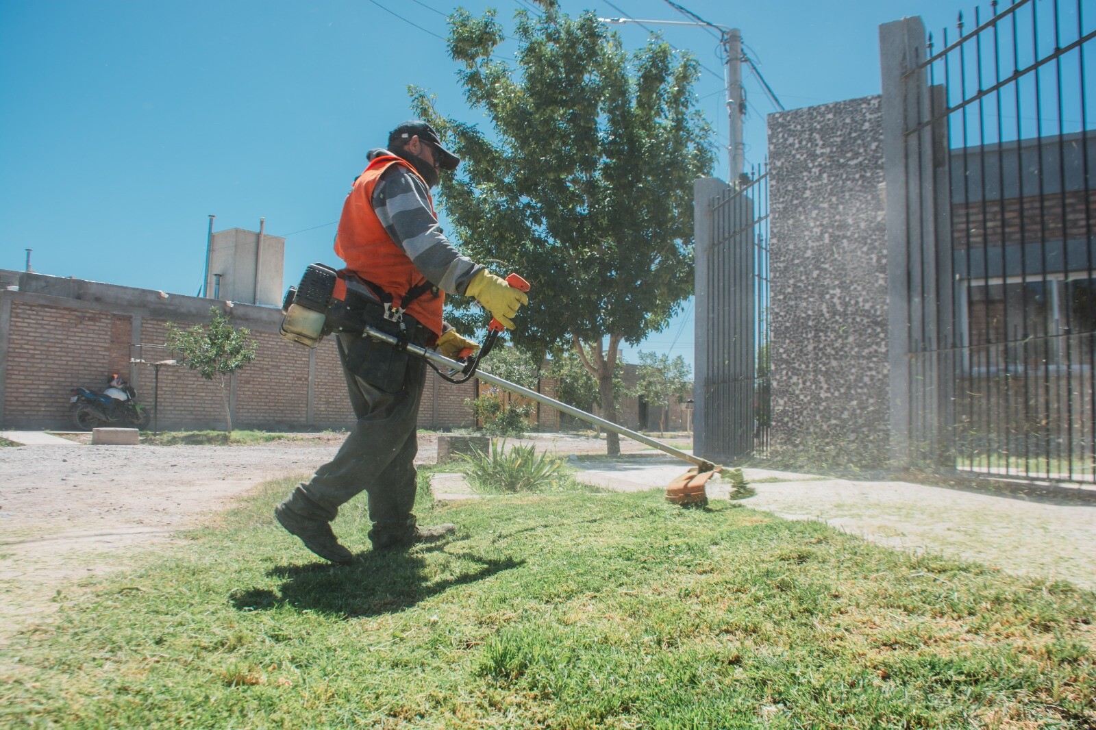 operativo-dengue-3.jpeg operativo-dengue-3.jpeg