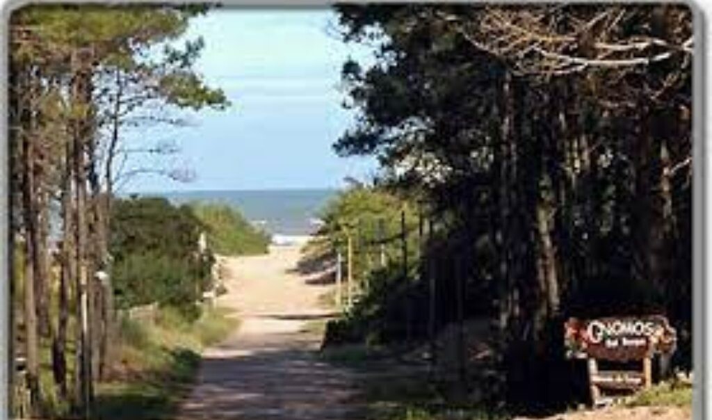 pampas 2.jpg