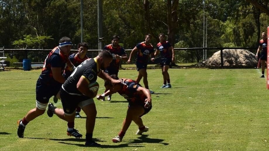 Pampas recibe el viernes a Peñarol en el CASI. Dogos XV visita a Selknam