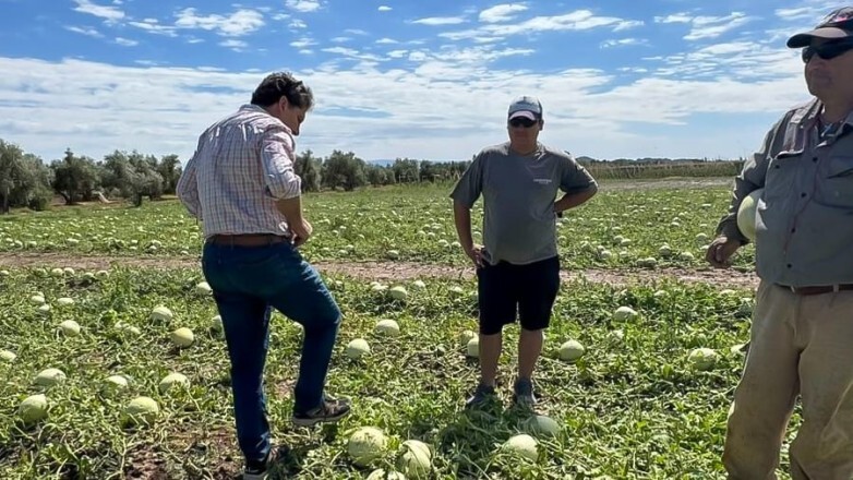 Piden a productores afectados por el granizo informar su estado ante el RUPA