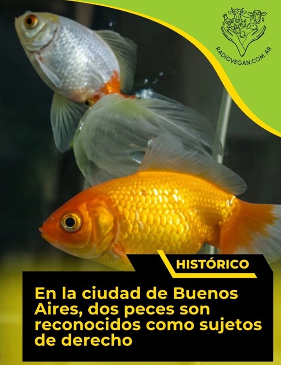 peces.jpg Histórico: Peces reconocidos como sujetos de derecho