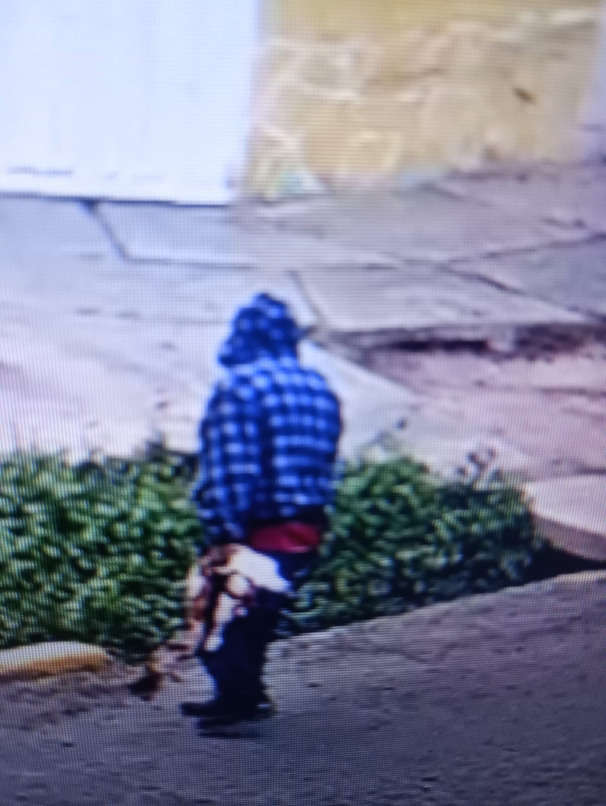 Intensiva búsqueda de un hombre, en zona Pocito