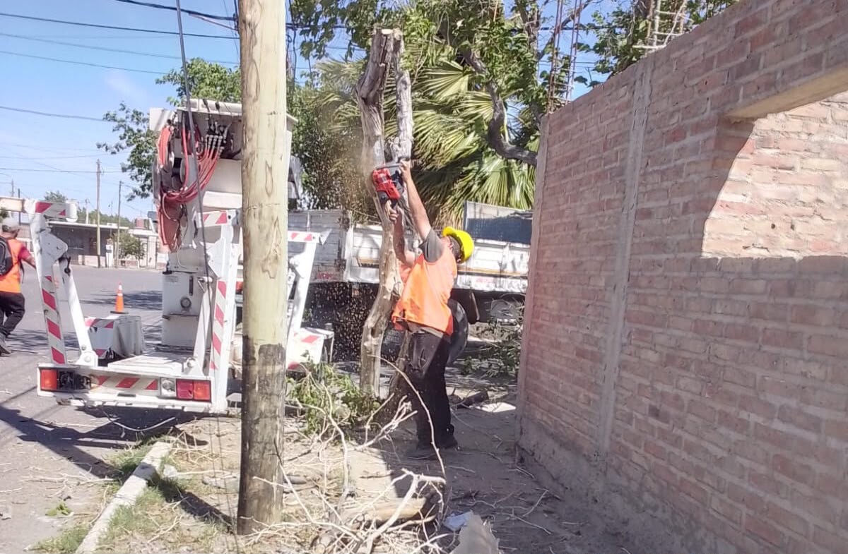 personal de Servicios-2.jpeg