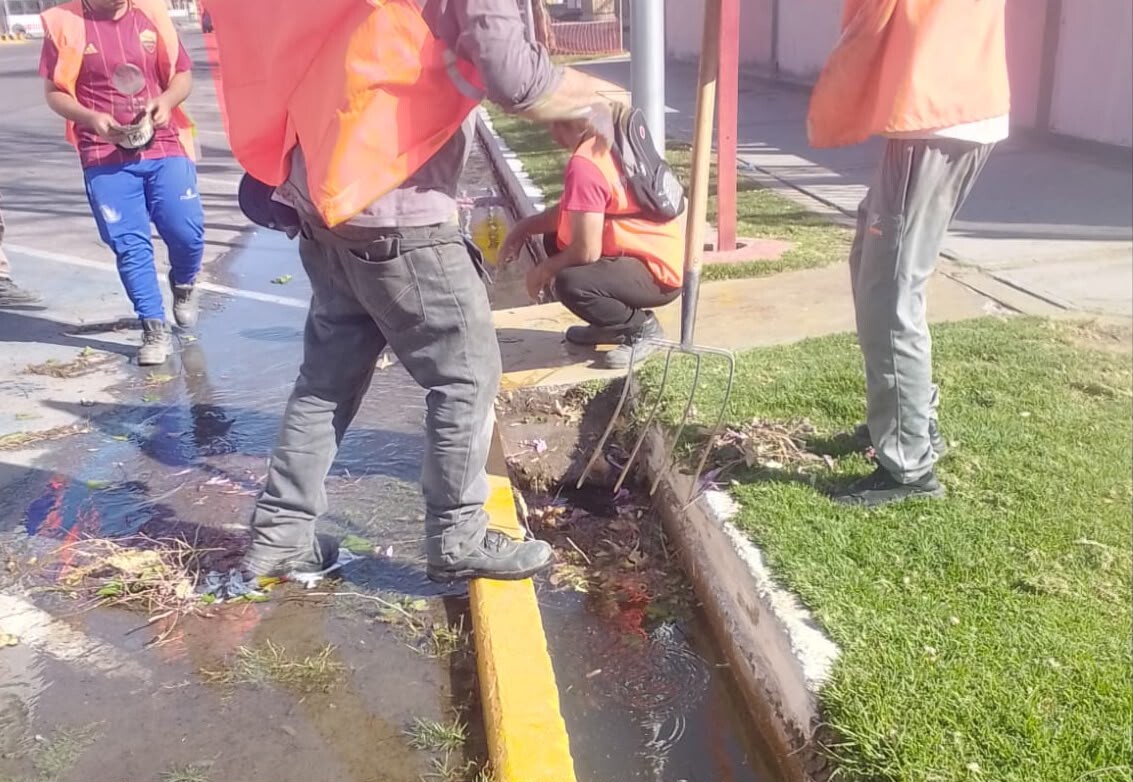 personal de Servicios-3.jpeg
