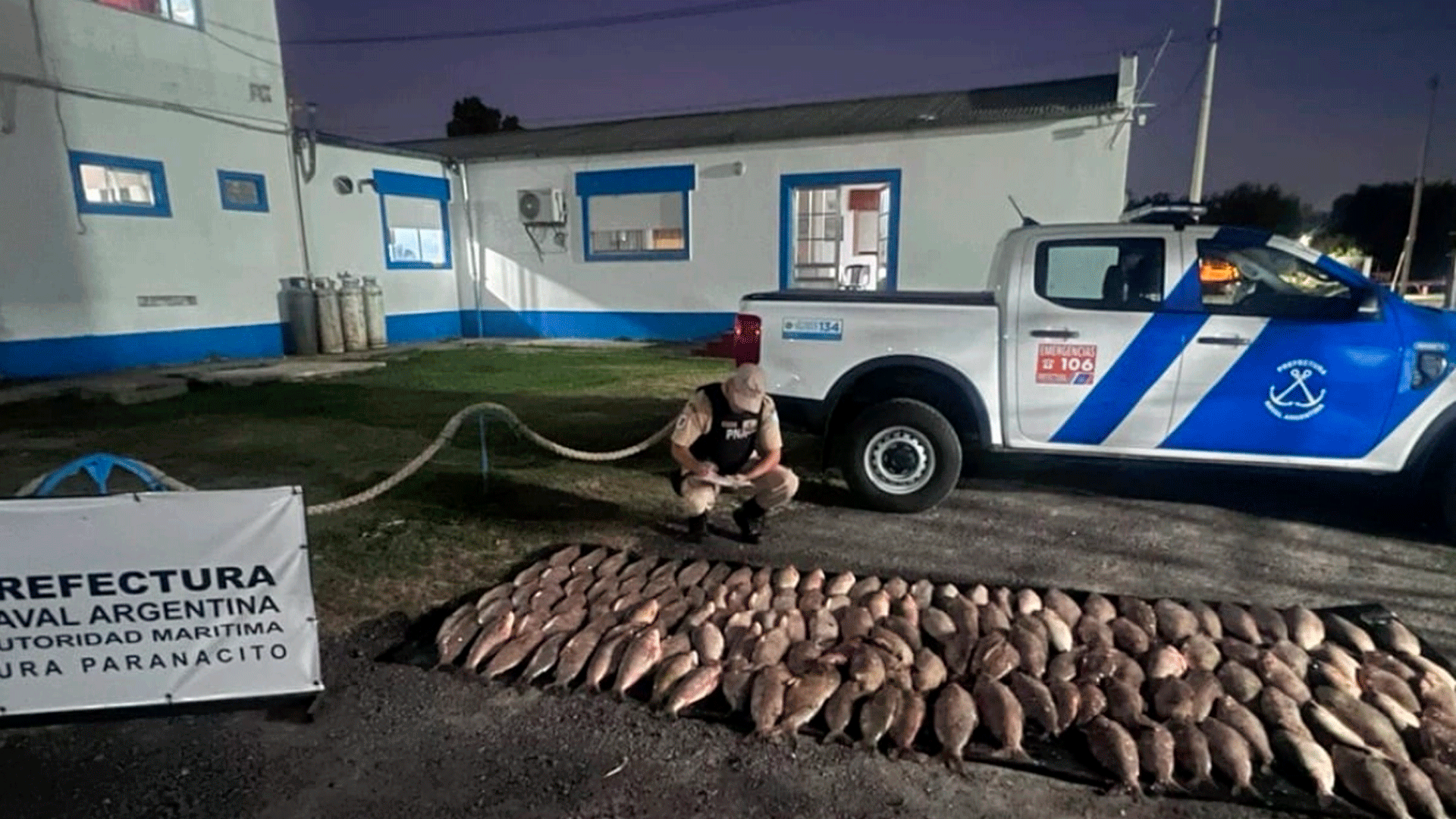 Secuestran más de 9 mil kilos de pescado ilegal en entre ríos