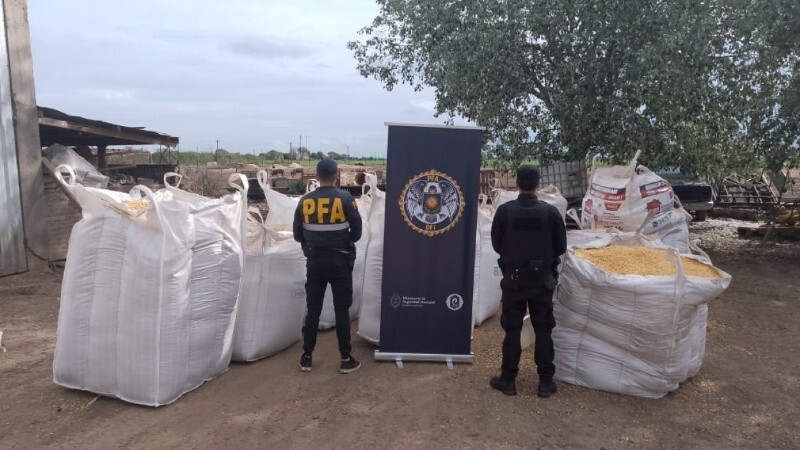 Rosario: tras los allanamientos por robo de cereal, aparecen vínculos con una banda mixta y policías en la mira