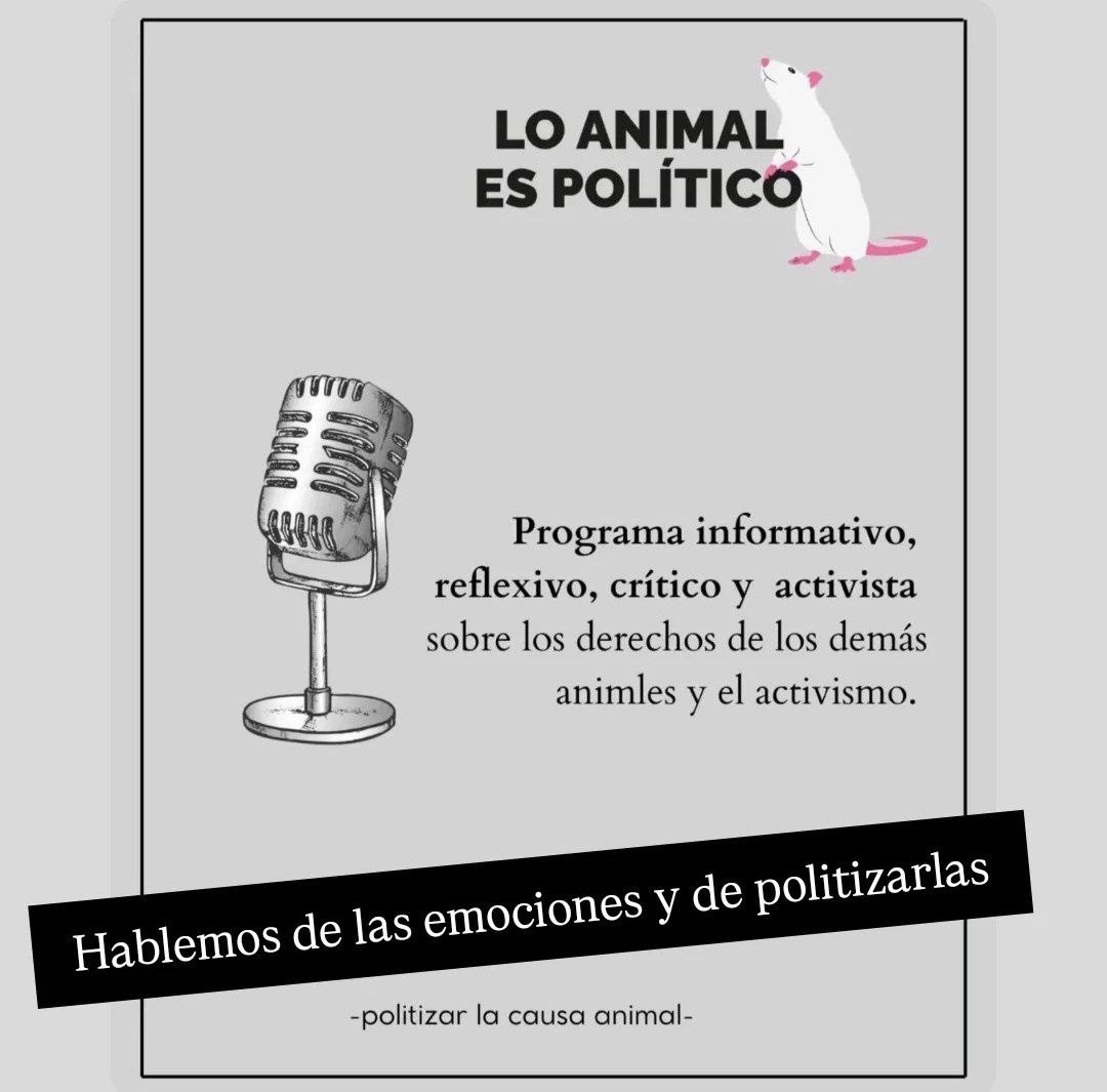 Lo Animal es Político (04-09-2025) – Hablamos de las emociones y de politizarlas Lo Animal es Político (04-09-2025) – Hablamos de las emociones y de politizarlas