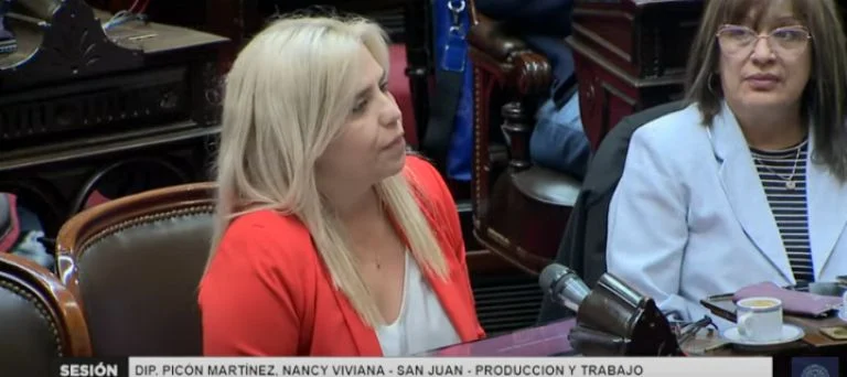 -De  los seis diputados nacionales que tiene San Juan en el Congreso, solo uno de ellos votó a favor del veto, José Peluc.