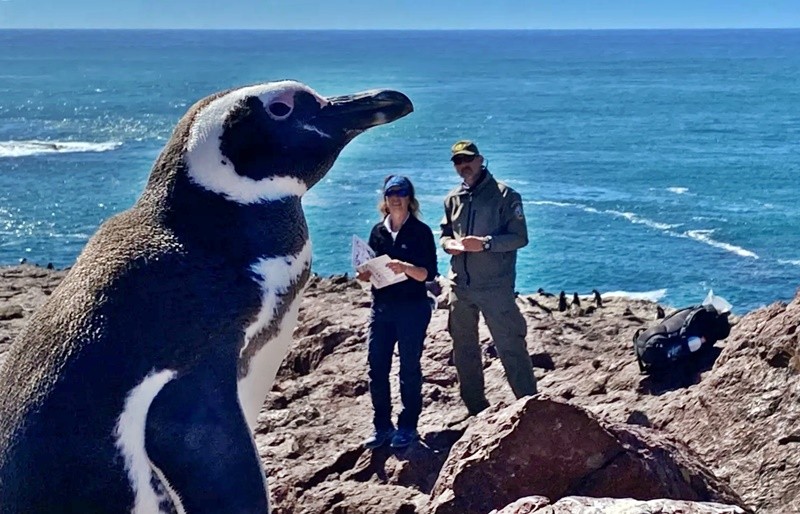 1 25 de abril: Día Mundial del Pingüino