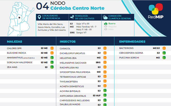 plagas-cordoba-centro-norte-redmip-650x404-1.jpg plagas-cordoba-centro-norte-redmip-650x404-1.jpg