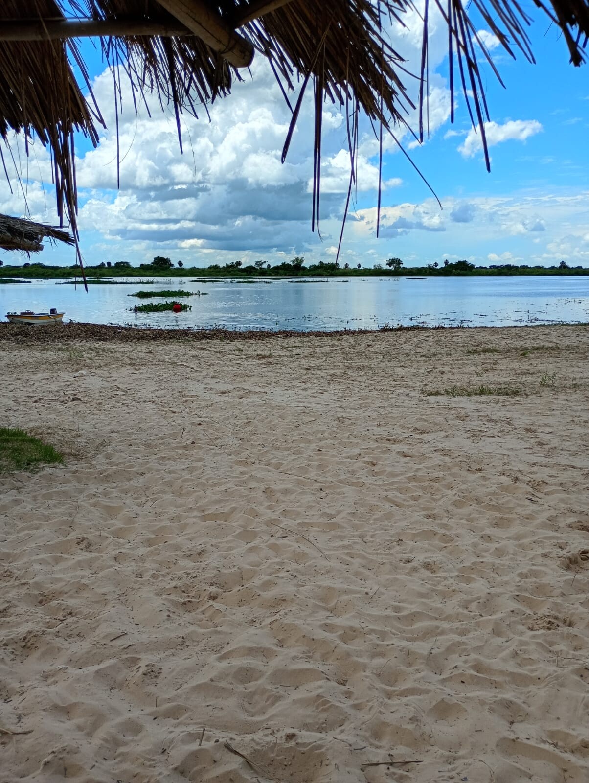 playas 1.jpeg playas 1.jpeg