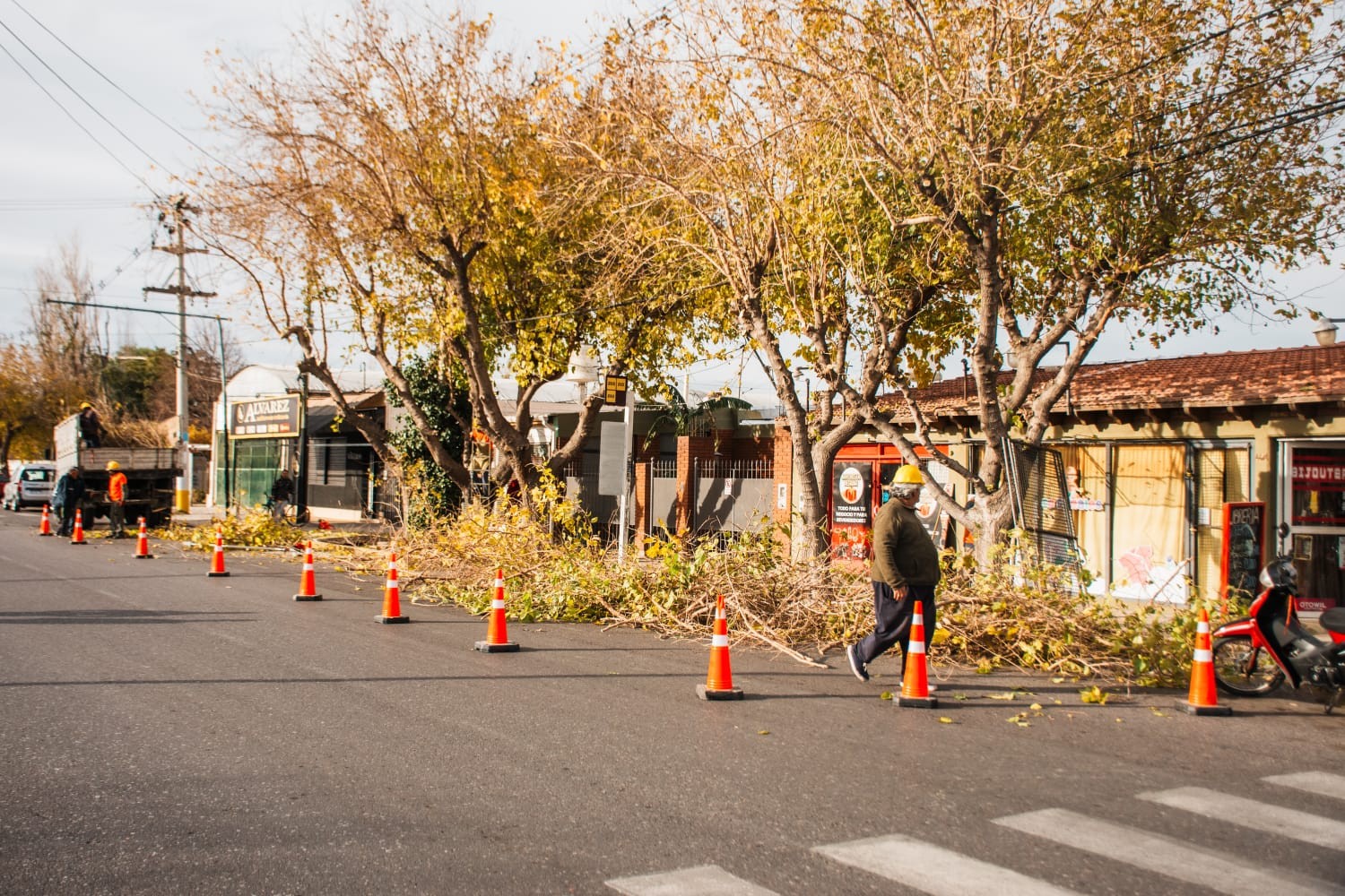 RIVADAVIA: informa el lanzamiento del Operativo Integral de Arbolado