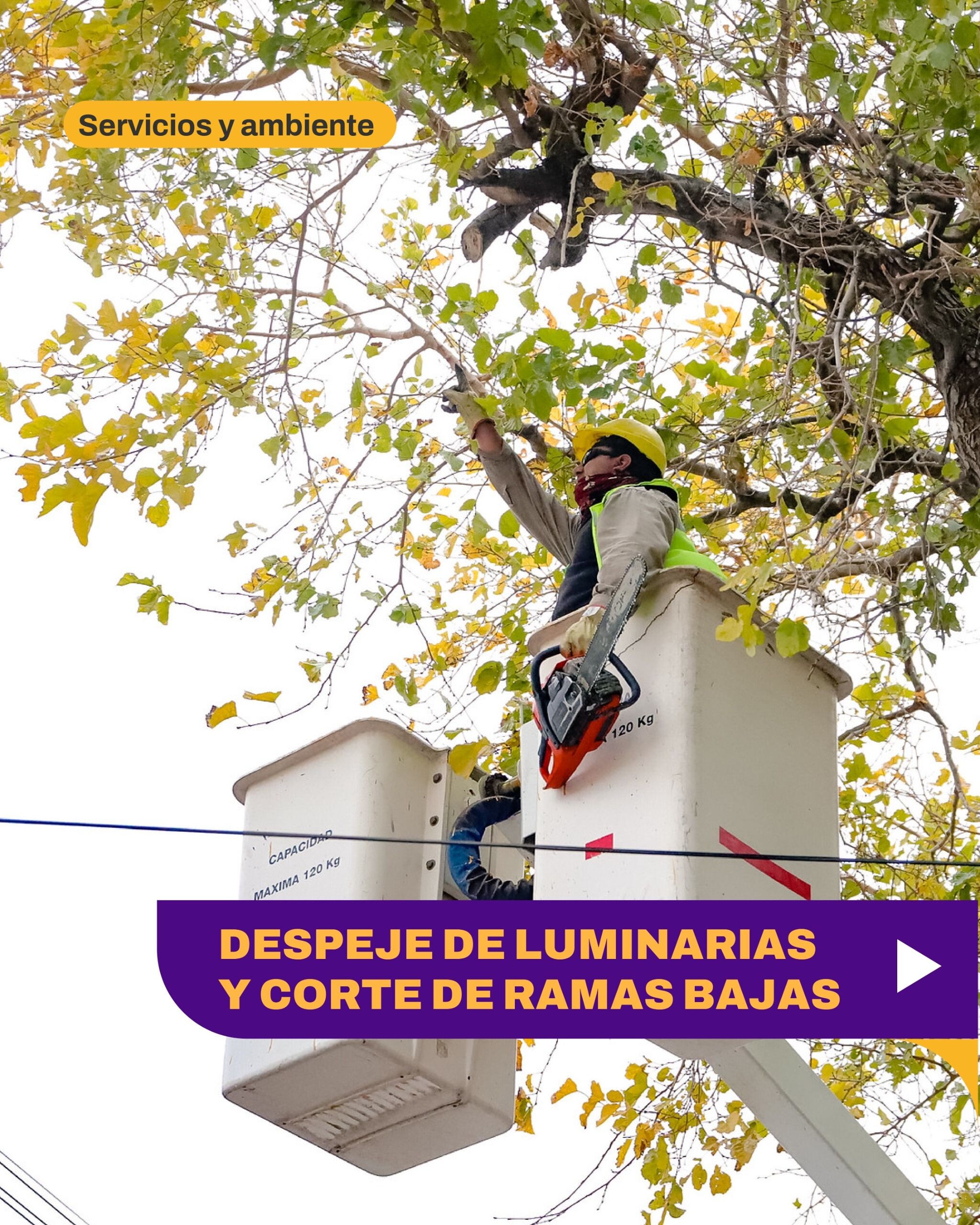 Esta semana el municipio de la Ciudad de San Juan llevara a cabo un nuevo Operativo de despeje de luminarias y poda en distintos barrios de Capital