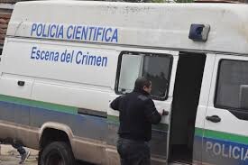 polii.jpg
