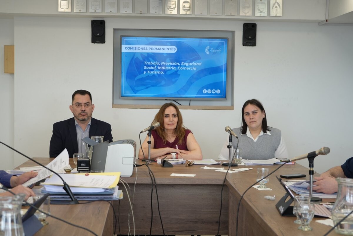 portada27244.jpg Ricci expuso en la comisión de trabajo sobre Santa Cruz Puede S.A.U.