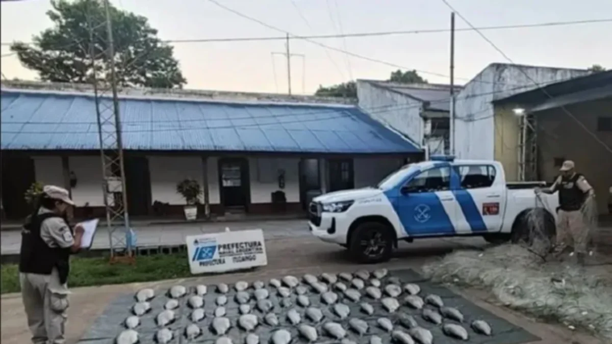 prefectura.webp Paraguayos sorprendidos en Corrientes con 304 kilos de sábalo