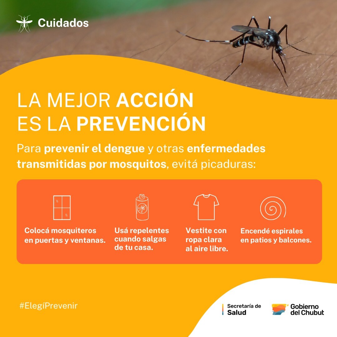 prevencion enfermedades transmitidas por mosquitos.jpeg