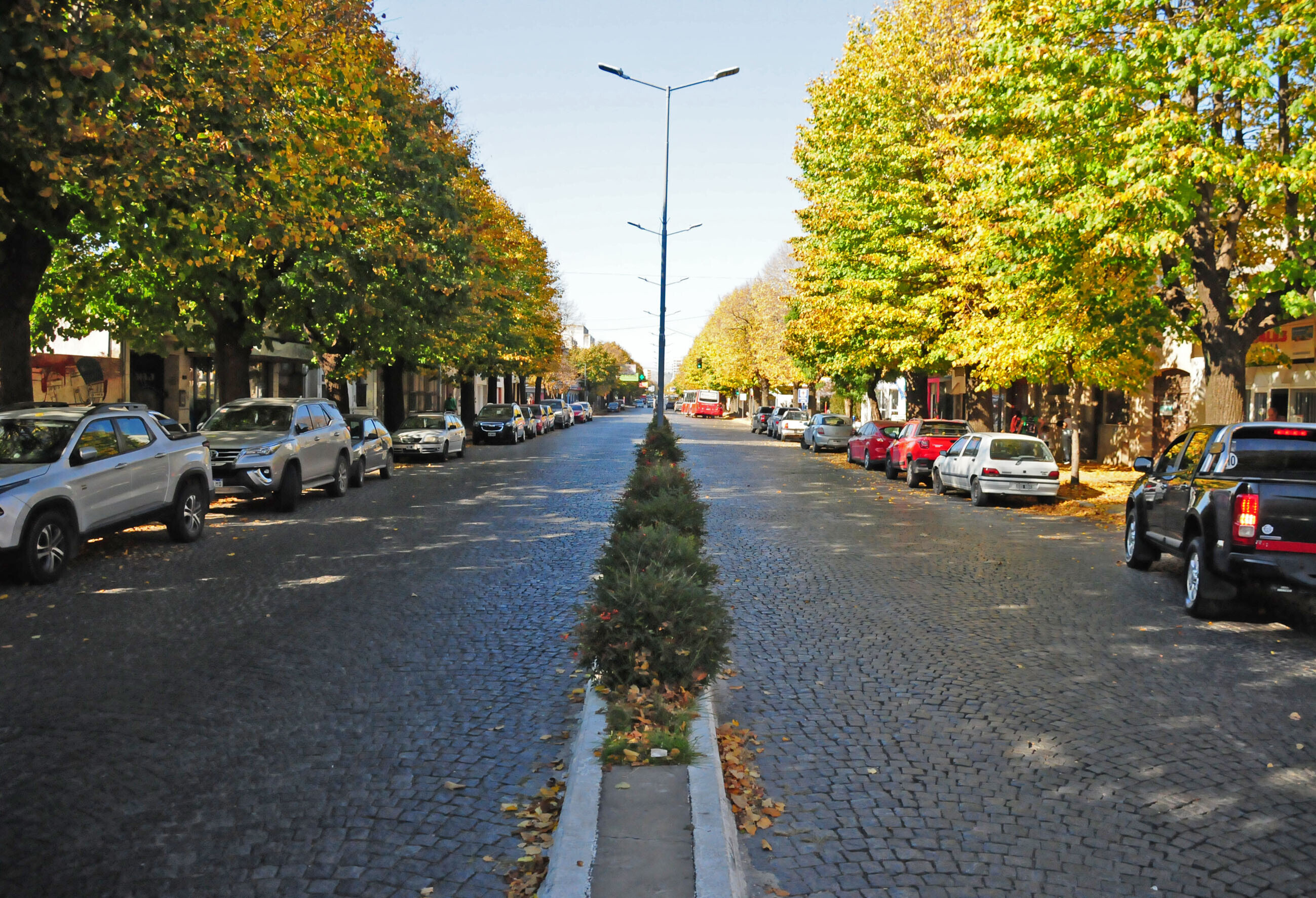 Este lunes continuarán los trabajos de arreglo de granitullo en avenida Colón