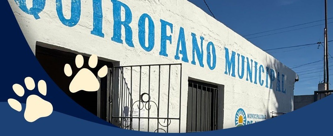 Ya esta en pleno funcionamiento el  Quirófano Municipal de 9 de Julio.