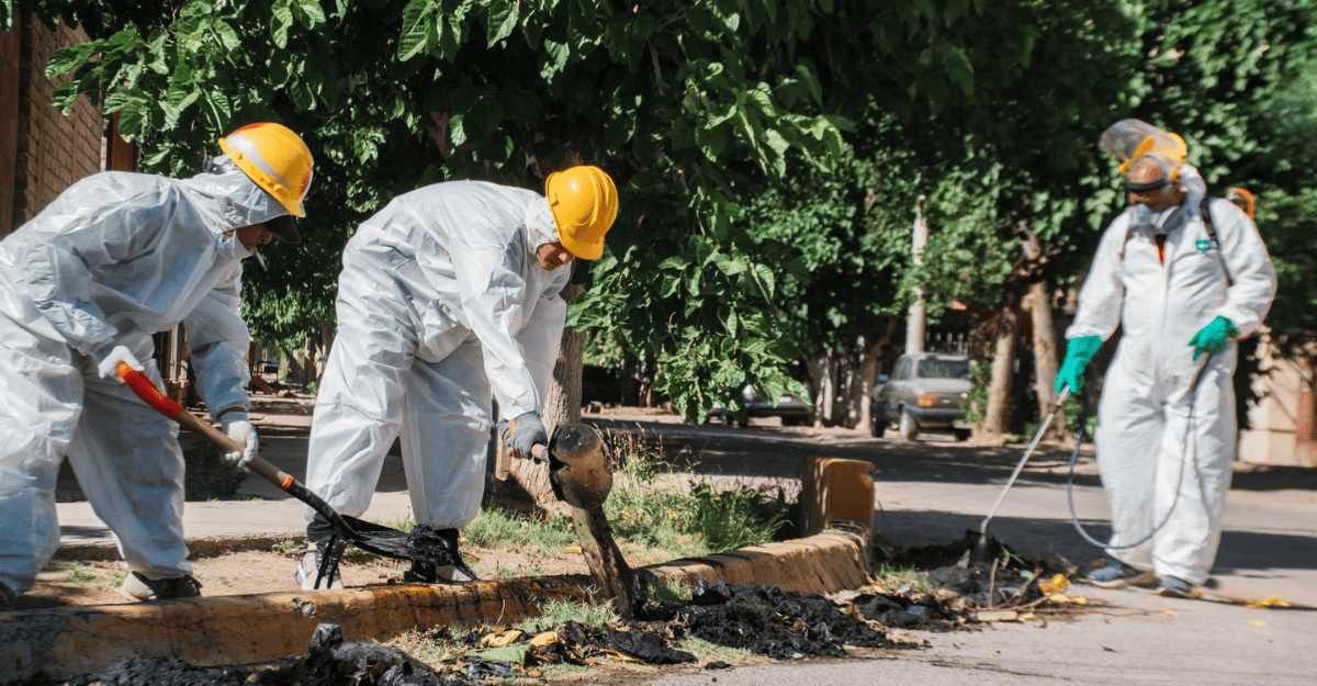 Municipalidad de Rawson: Operativos de Descacharreo y Fumigación en ...