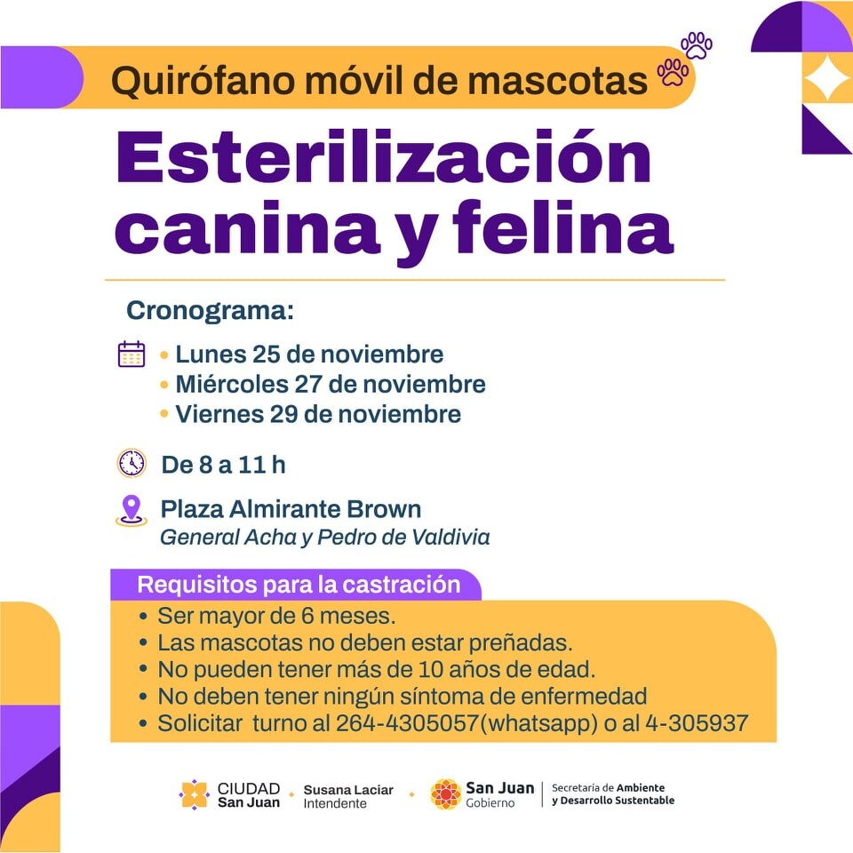 refuerzo can y gato capital288106_886917353633369_8226356402362055981_n.jpg refuerzo can y gato capital288106_886917353633369_8226356402362055981_n.jpg