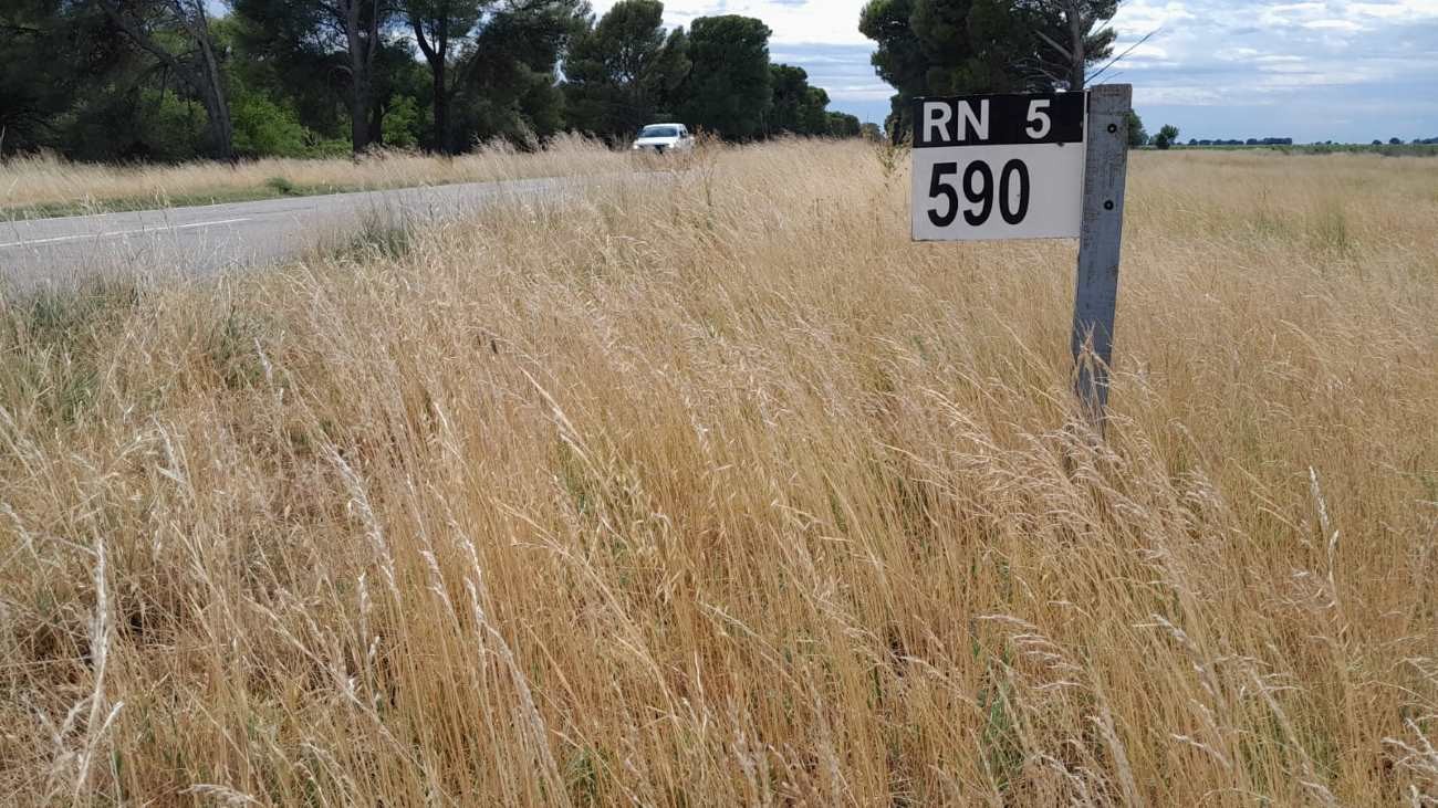 ruta5banquinas2025-2.jpg Convocan audiencias por obras en rutas 5 y 188: ¿qué pasa en La Pampa?