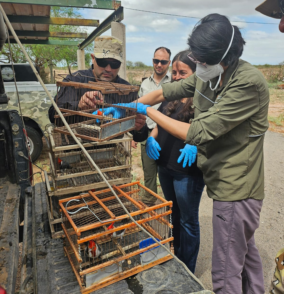 San Juan y San Luis trabajan en conjunto por la conservación de aves autóctonas