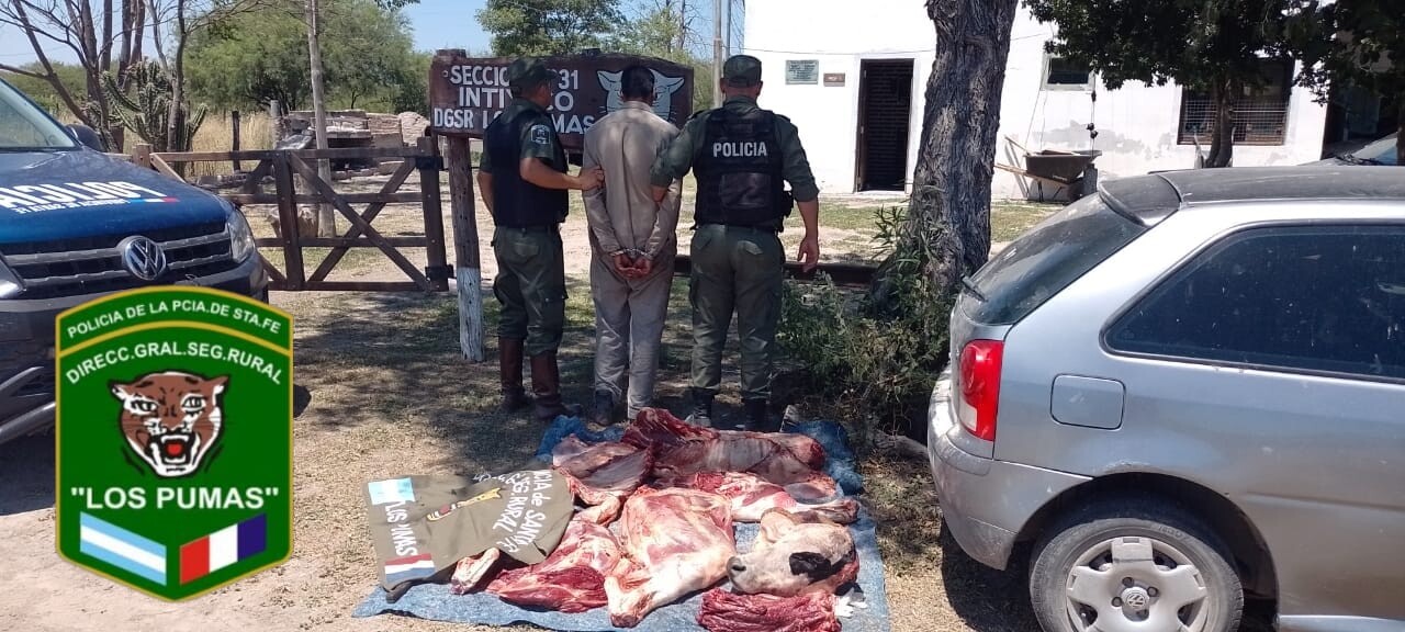 seccion N°31.jpg «Me Mande Una Macana» Dijo el Peon Rural y Tenia Un Novillo Faenado En el Baul Del Auto