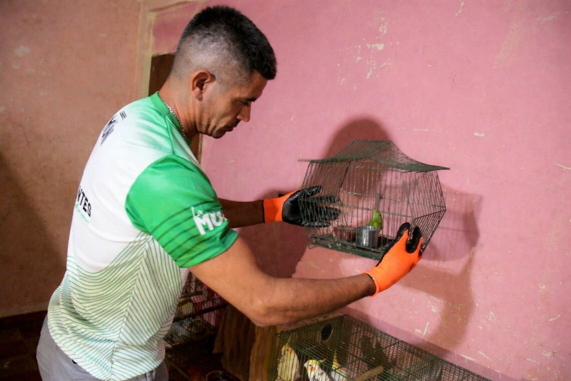 seceuestro de Aves.jpg seceuestro de Aves.jpg