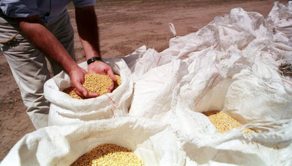 Propiedad intelectual en semillas: en el campo insisten con el sí a una nueva ley, pero no a UPOV 91