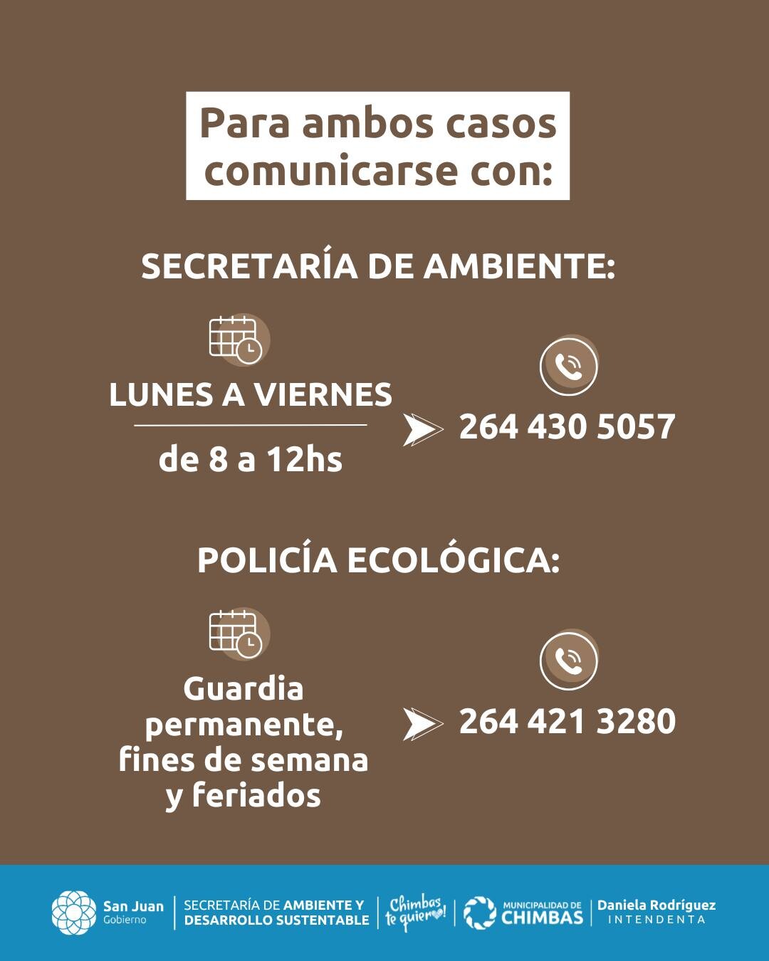serpiente dos35777_972542148240554_5195325411745914043_n.jpg