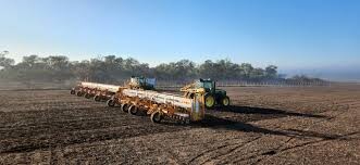 Informe- Sistema de Estimaciones Agrícolas (SEA) se acelera la siembra del Maiz y el Girasol