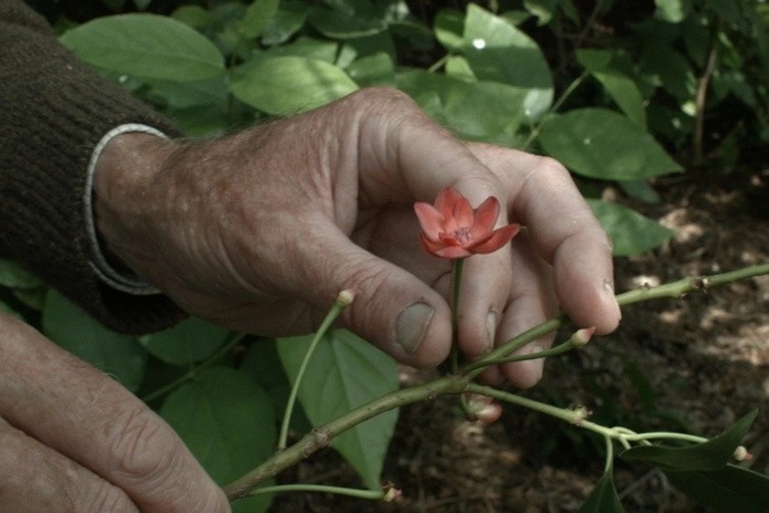 Arranca el DocBA 2025 en la sala Lugones del Teatro San Martín