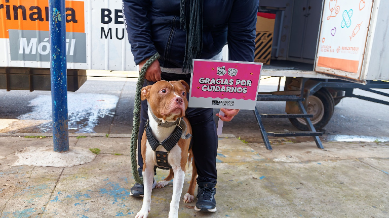 Berazategui: Siguen las jornadas de salud animal en todos los barrios del distrito