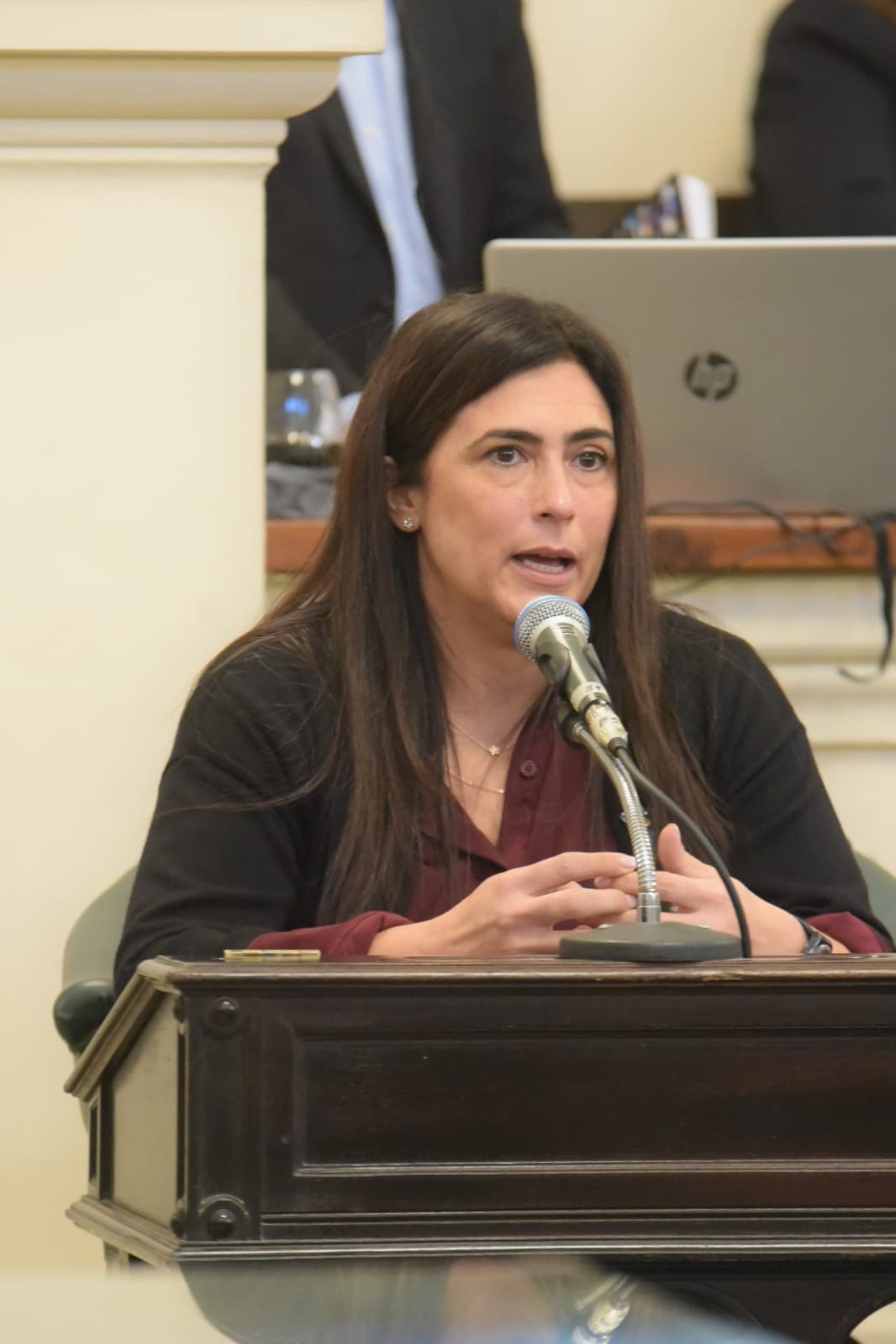 silvia Ibarra.jpeg