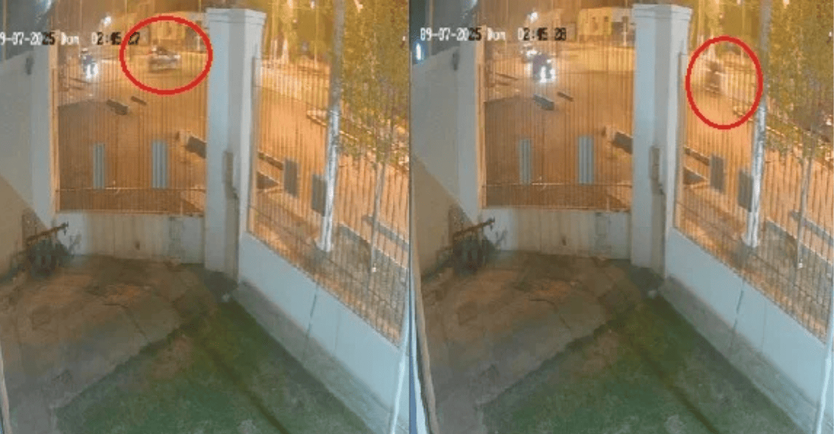 Marquesado: grave choque frontal , un menor de 17 años iba al volante (Video Viral)