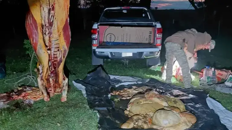 Sorprendieron a dos hombres faenando una vaca durante una constatación por usurpación.