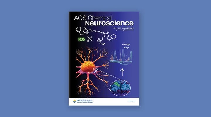 Estudian una molécula con potencial para mejorar métodos de diagnóstico por imágenes